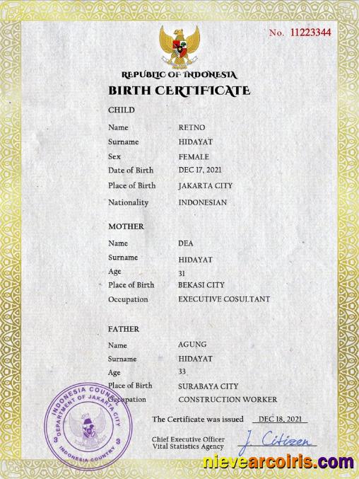Indonesia vital record birth certificate
